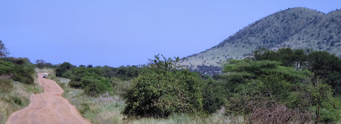 La piste du serengeti